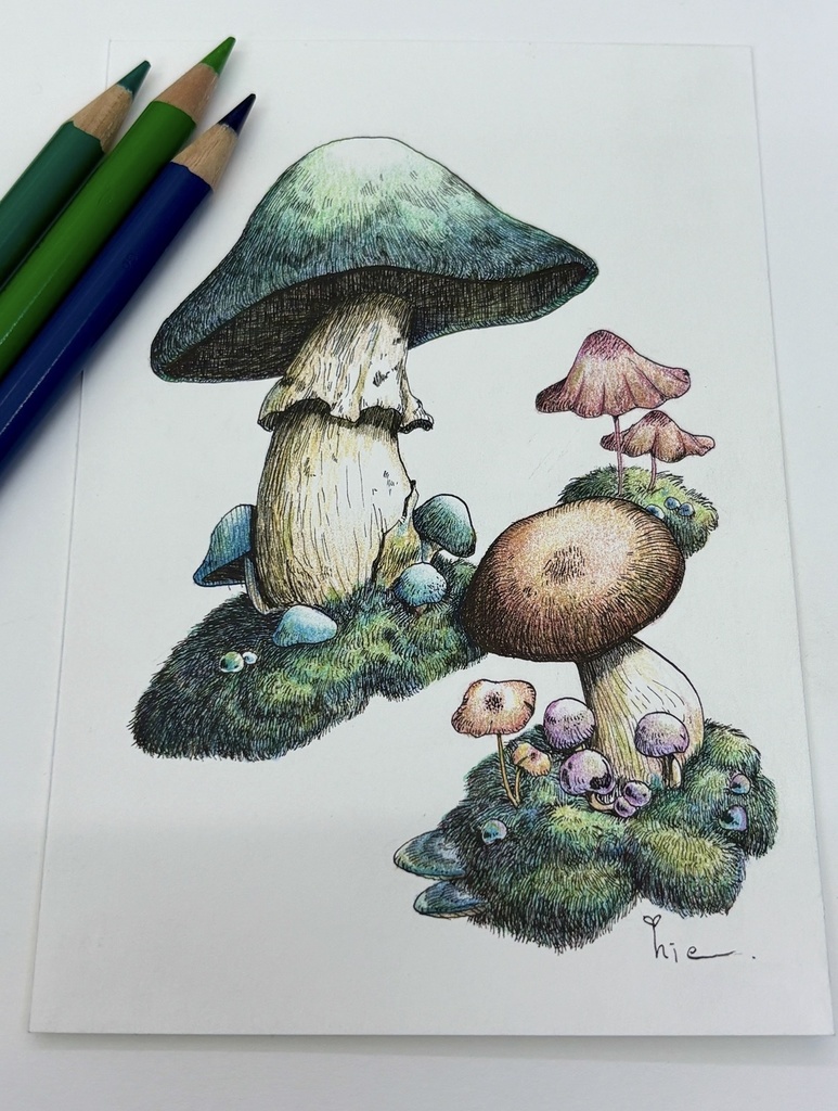 【額装原画】森のきのこ#05【ハガキサイズ】