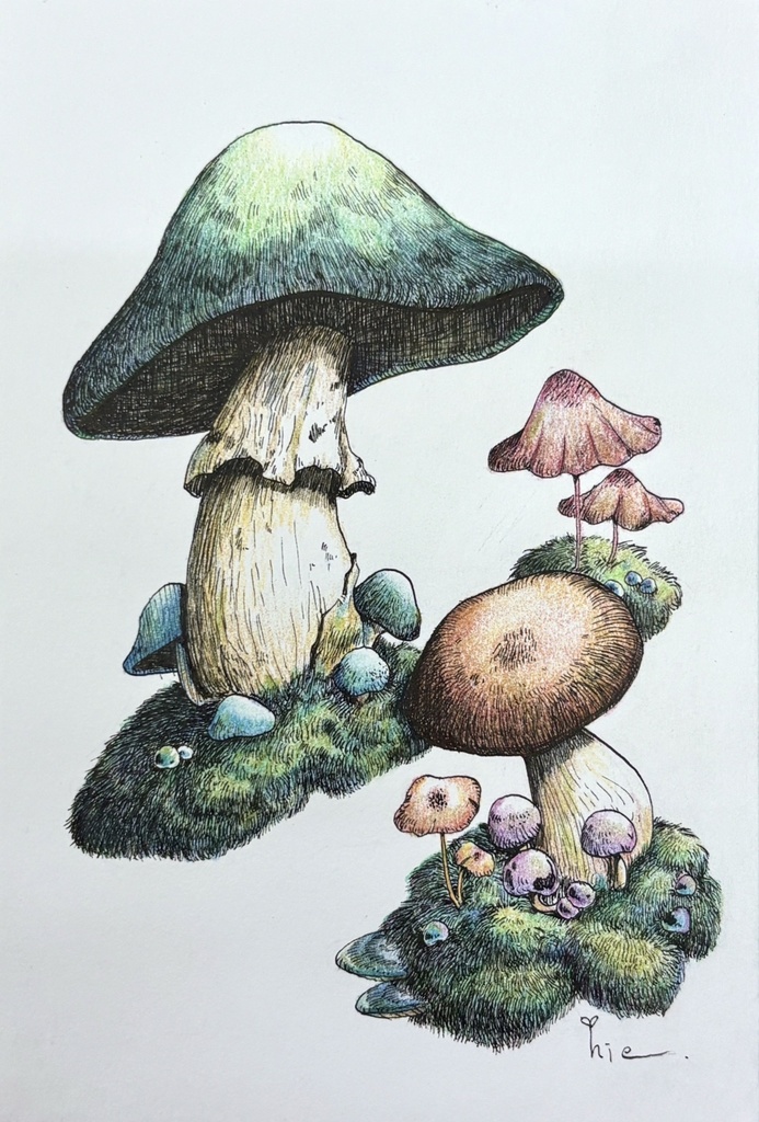 【額装原画】森のきのこ#05【ハガキサイズ】