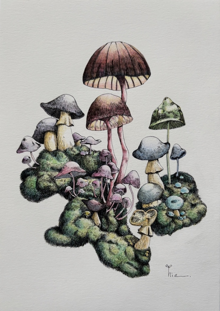 【額装原画】森のきのこ#06【A5サイズ】