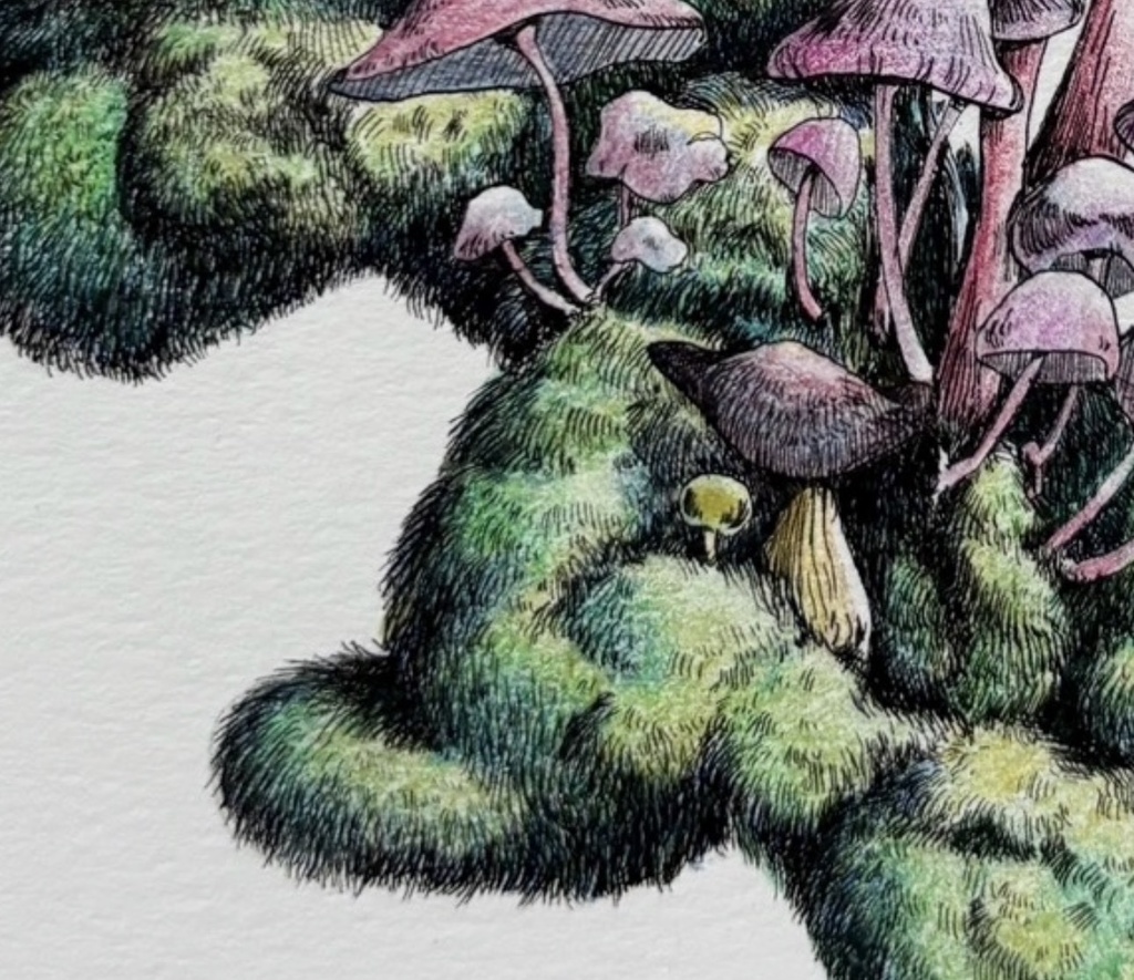 【額装原画】森のきのこNo.06【A5サイズ】
