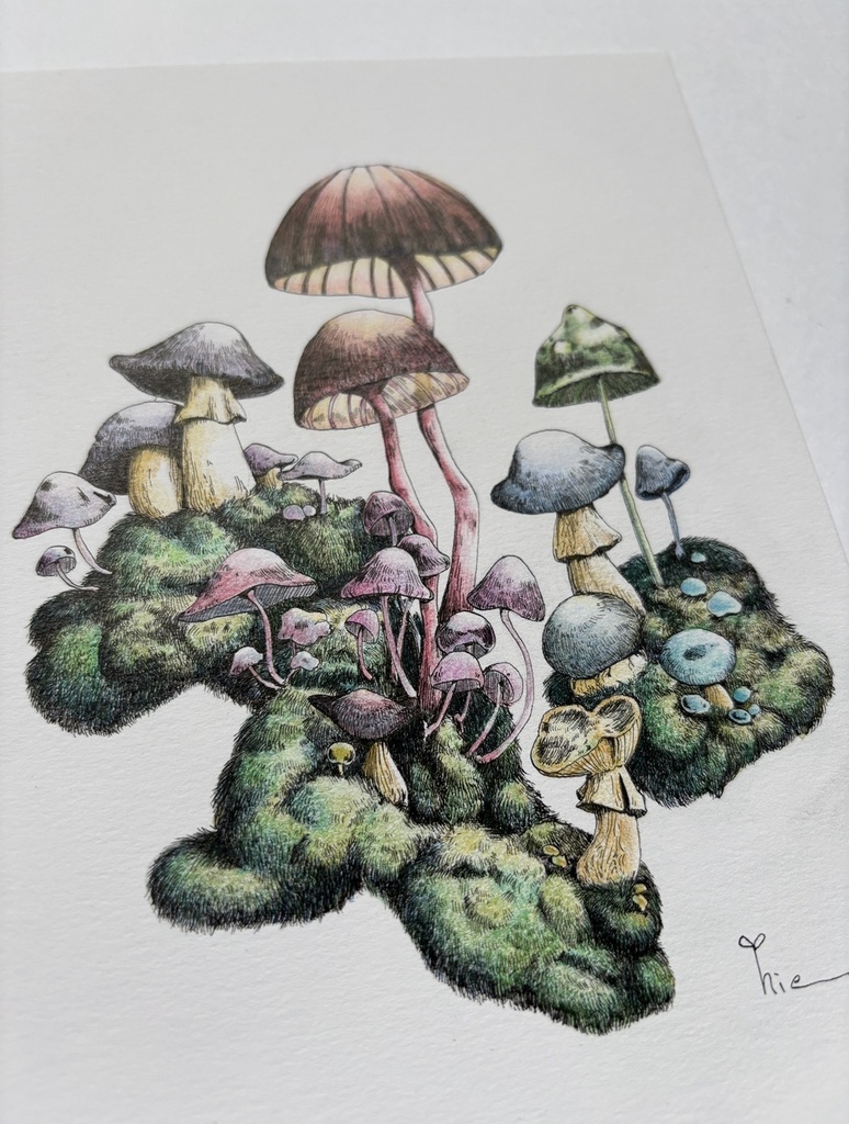 【額装原画】森のきのこ#06【A5サイズ】