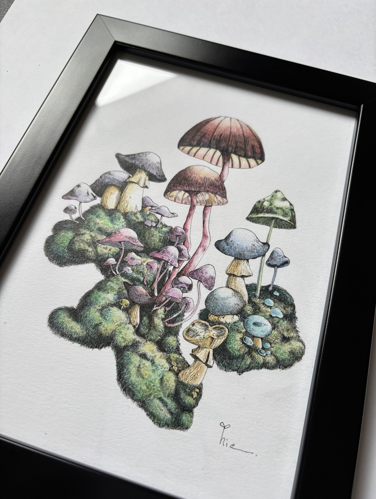 【額装原画】森のきのこ#06【A5サイズ】