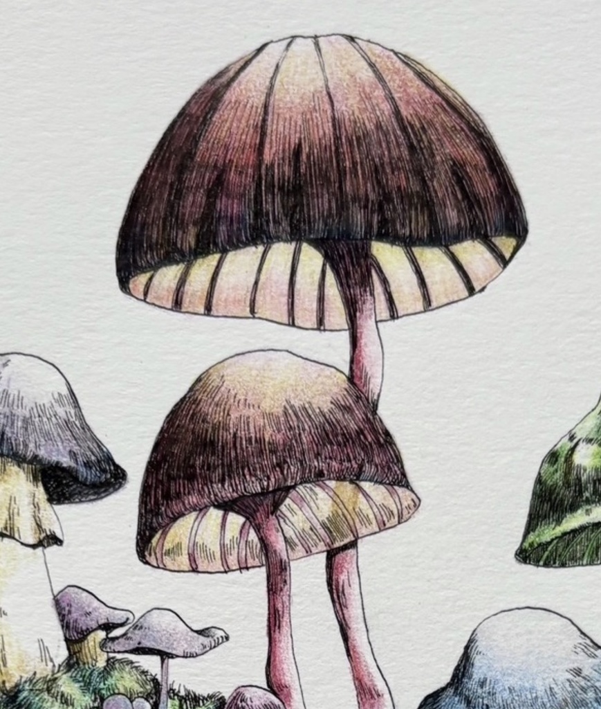 【額装原画】森のきのこNo.06【A5サイズ】