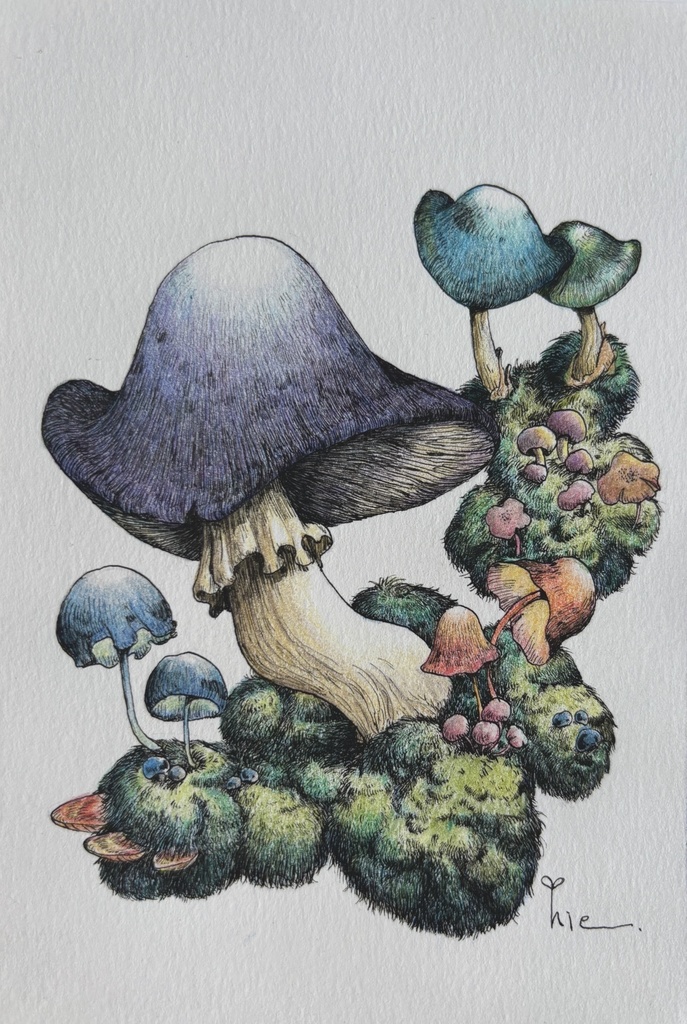 【額装原画】森のきのこNo.07【ハガキサイズ】