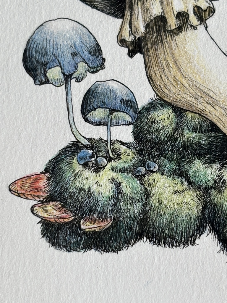 【額装原画】森のきのこNo.07【ハガキサイズ】