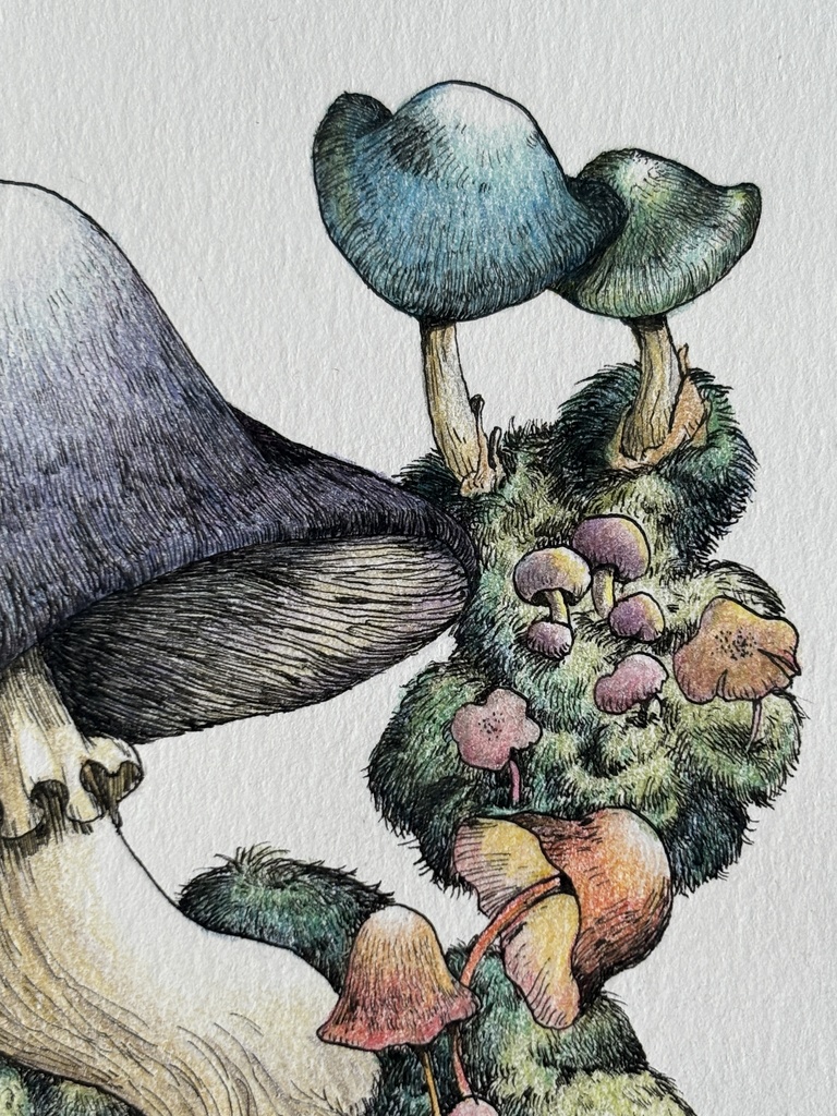 【額装原画】森のきのこNo.07【ハガキサイズ】