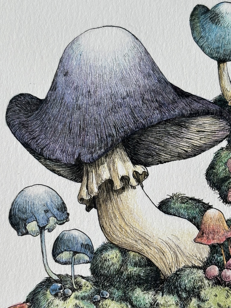 【額装原画】森のきのこNo.07【ハガキサイズ】