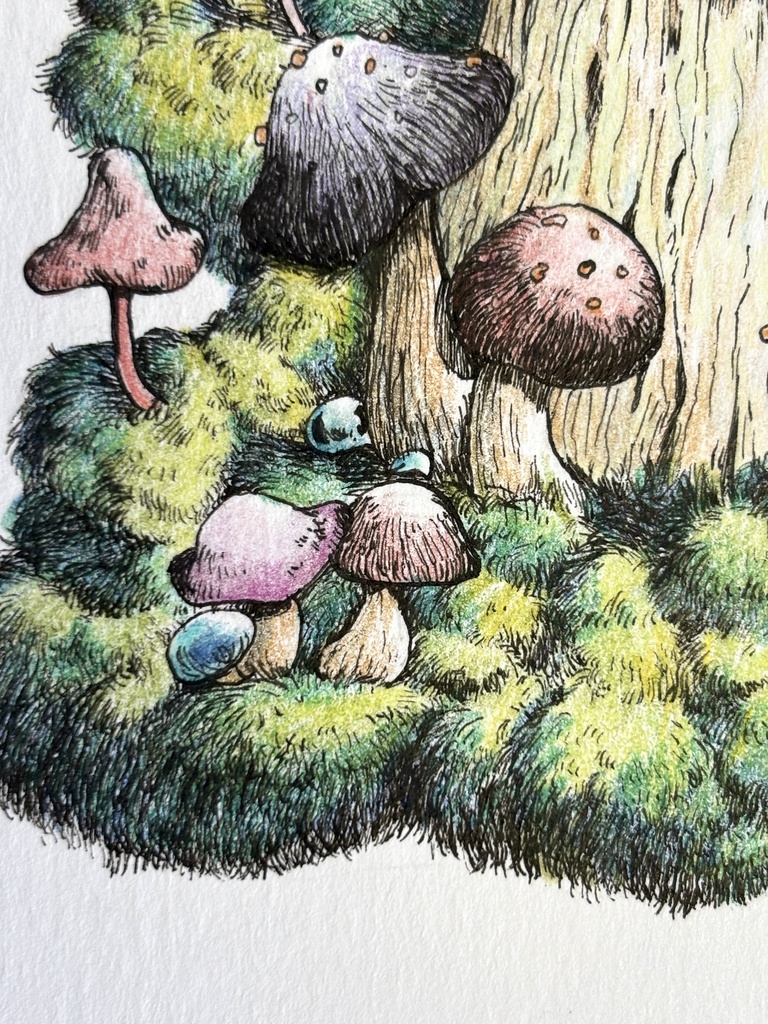 【額装原画】森のきのこNo.08【ハガキサイズ】