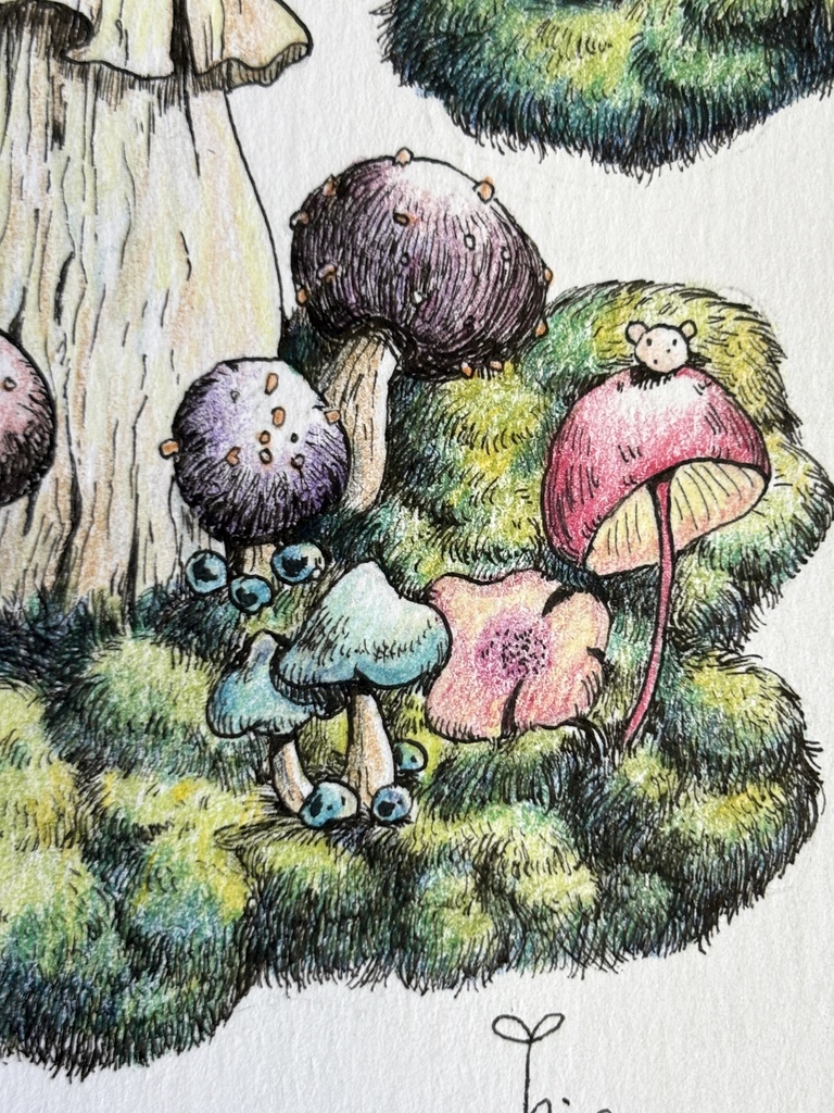 【額装原画】森のきのこNo.08【ハガキサイズ】