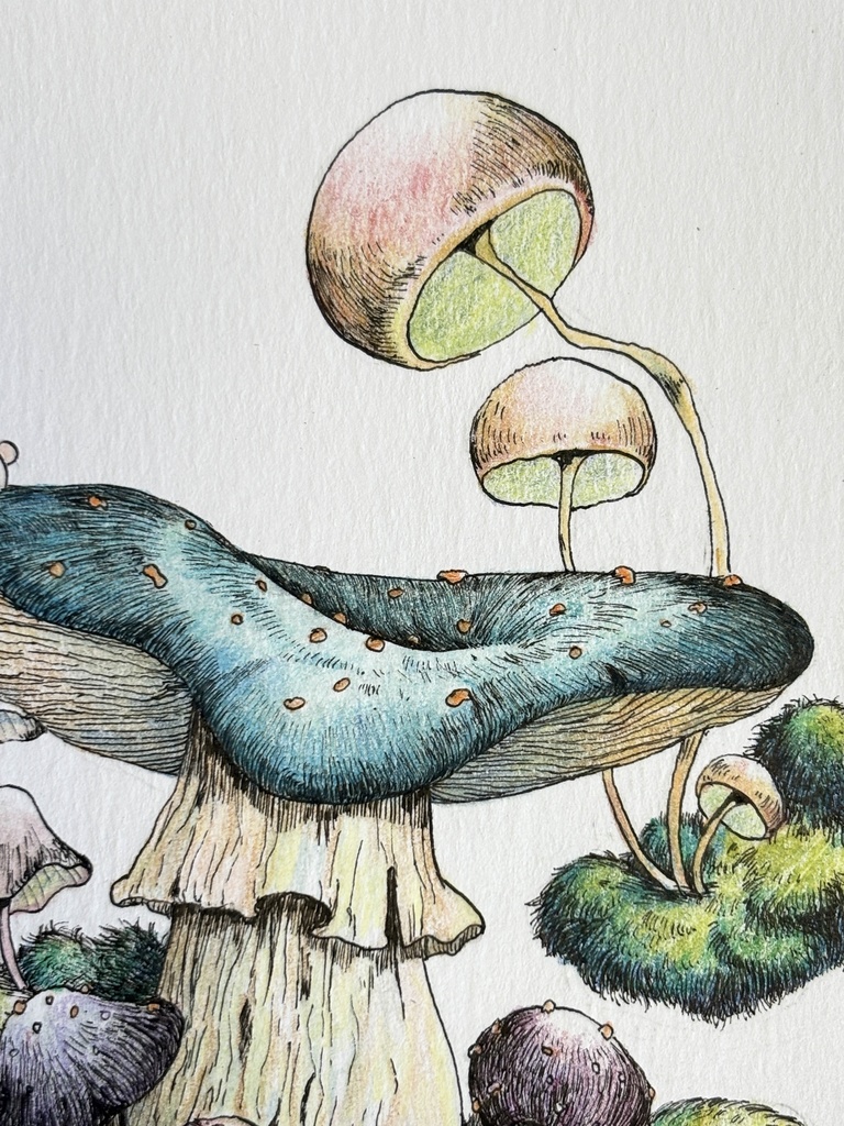 【額装原画】森のきのこNo.08【ハガキサイズ】