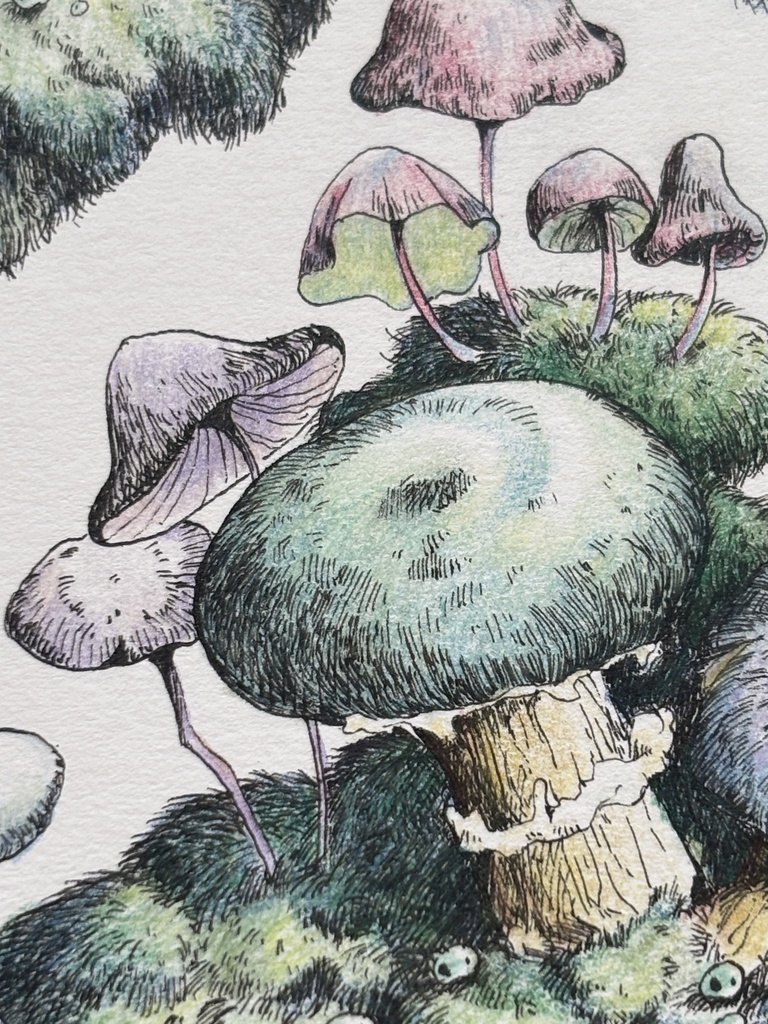 【額装原画】森のきのこNo.09【A5サイズ】