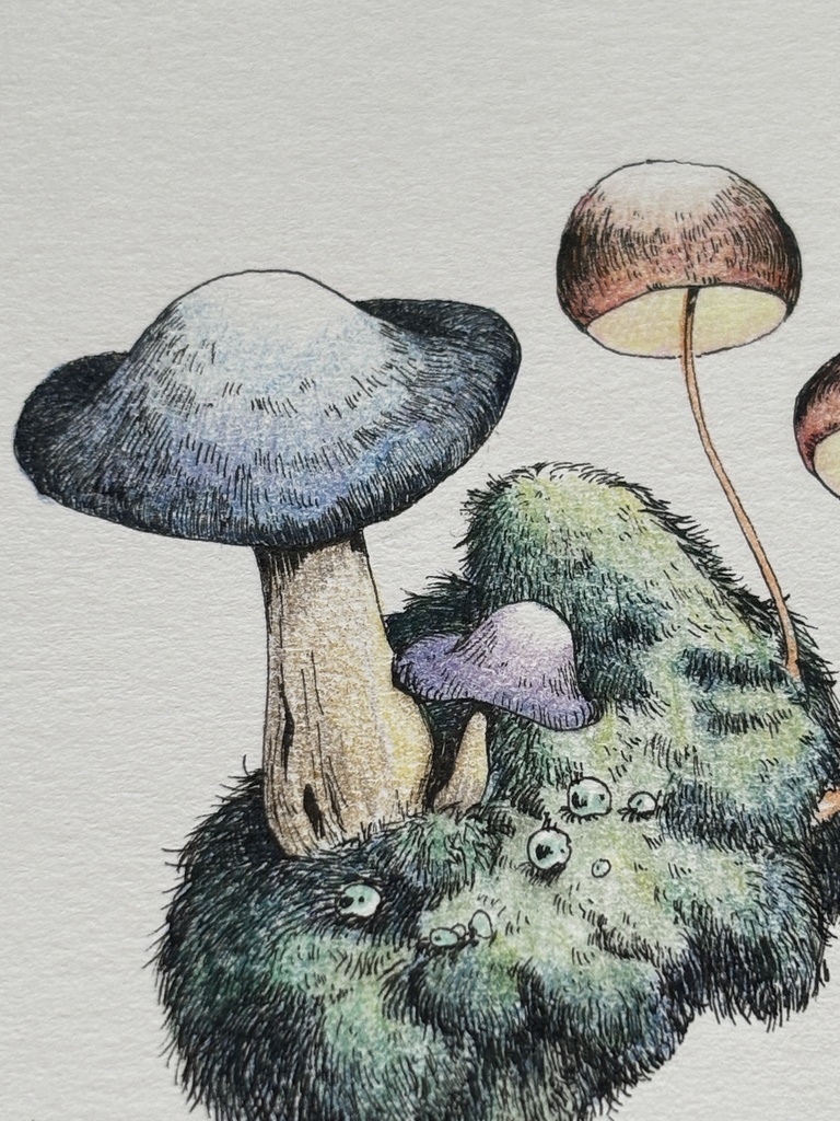 【額装原画】森のきのこNo.09【A5サイズ】