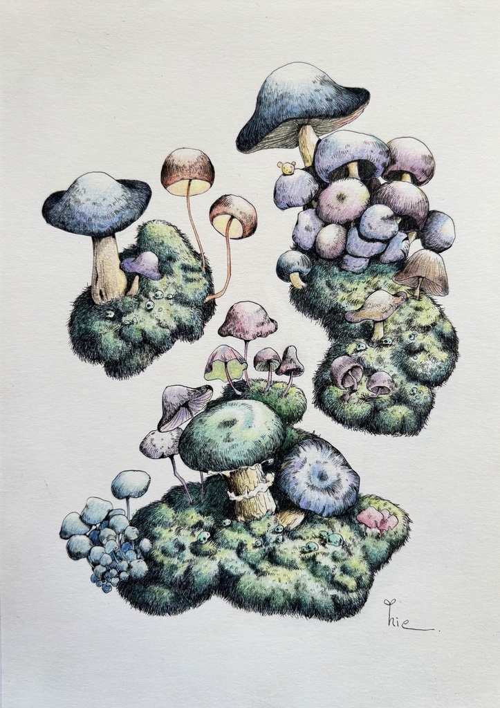 【額装原画】森のきのこNo.09【A5サイズ】