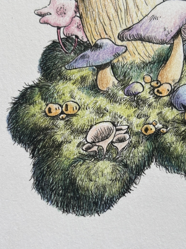 【額装原画】森のきのこNo.10【ハガキサイズ】