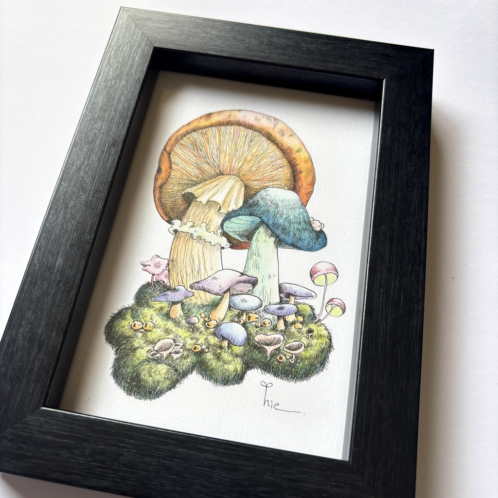 【額装原画】森のきのこNo.10【ハガキサイズ】