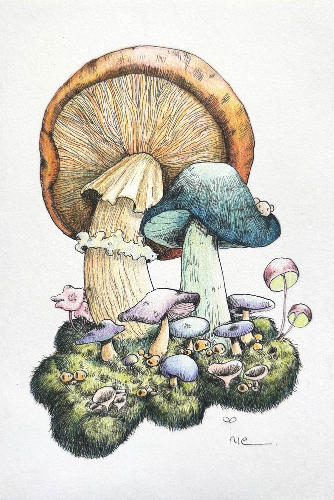 【額装原画】森のきのこNo.10【ハガキサイズ】