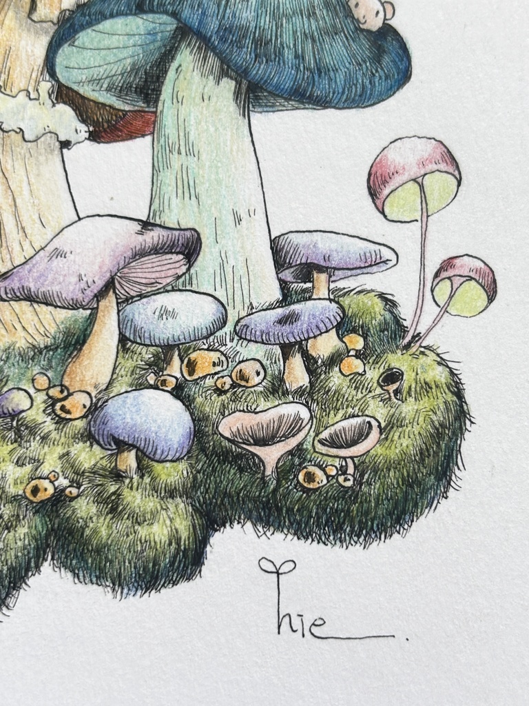 【額装原画】森のきのこNo.10【ハガキサイズ】