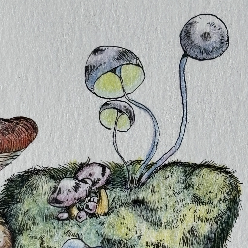 【額装原画】森のきのこNo.11【ハガキサイズ】