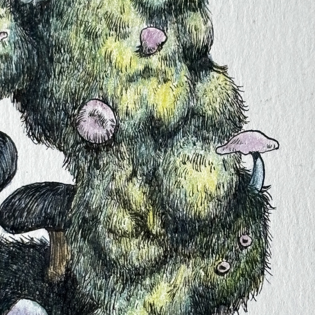 【額装原画】森のきのこNo.11【ハガキサイズ】