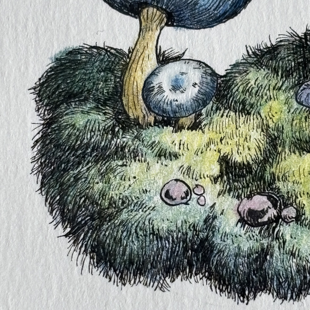 【額装原画】森のきのこNo.11【ハガキサイズ】