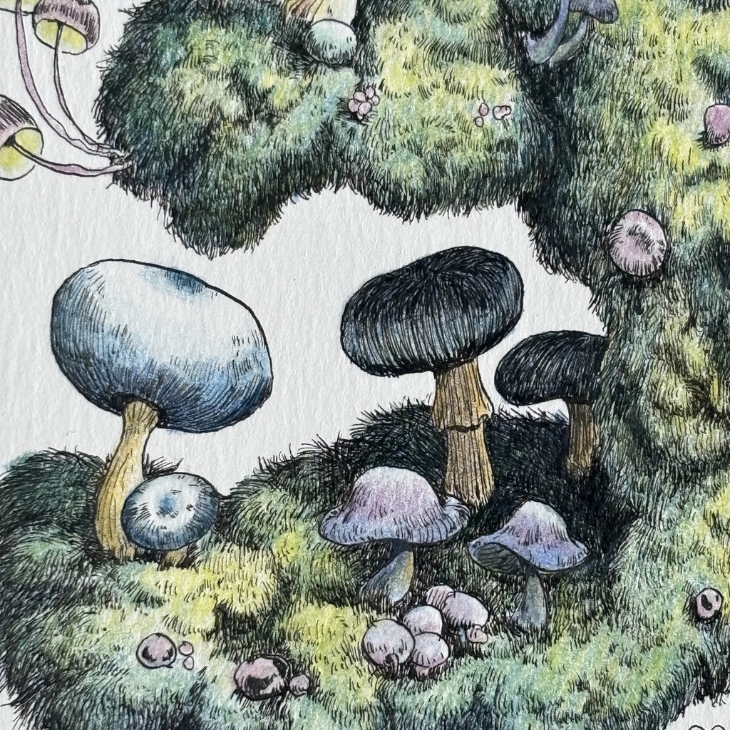 【額装原画】森のきのこNo.11【ハガキサイズ】