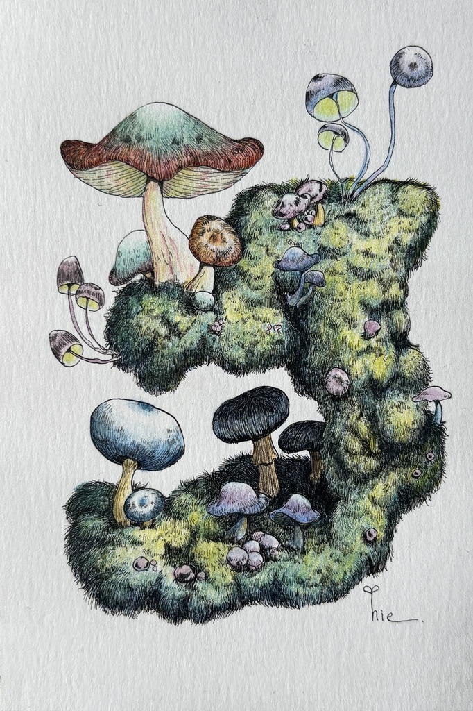 【額装原画】森のきのこNo.11【ハガキサイズ】