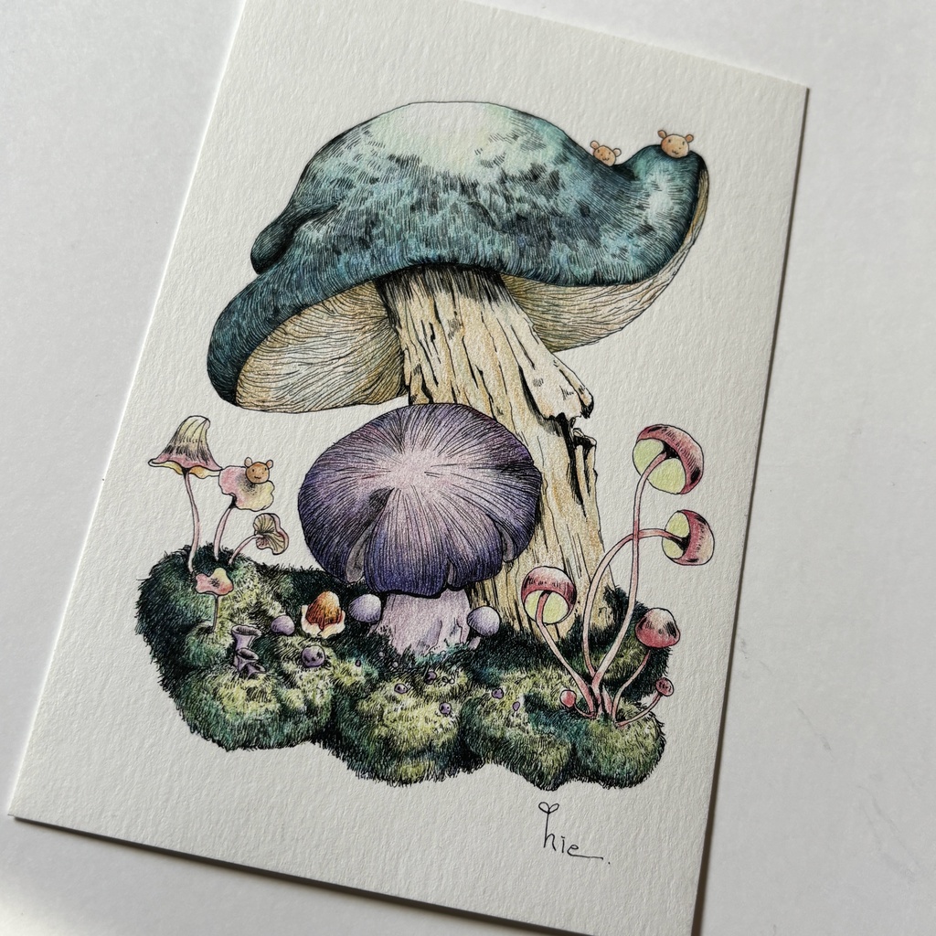 【額装原画】苔の森【ハガキサイズ】
