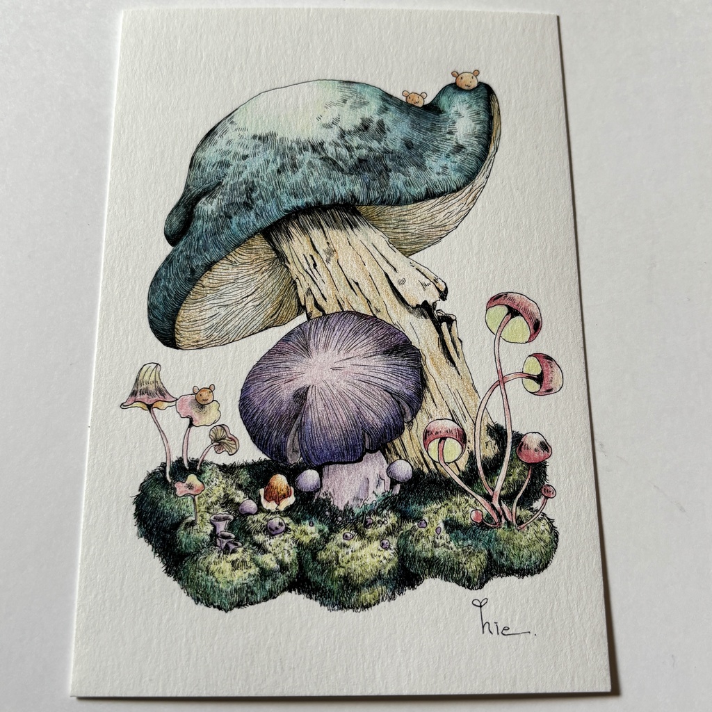 【額装原画】苔の森【ハガキサイズ】