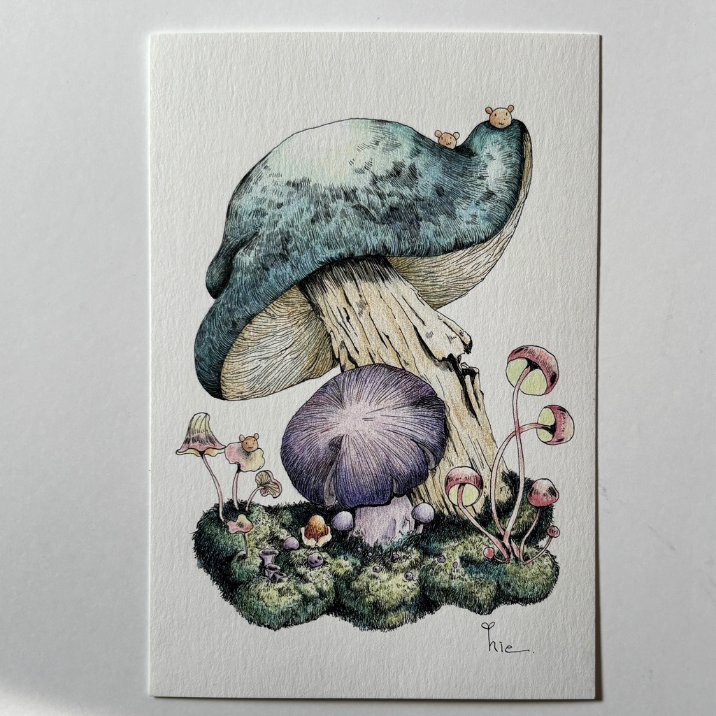 【額装原画】苔の森【ハガキサイズ】