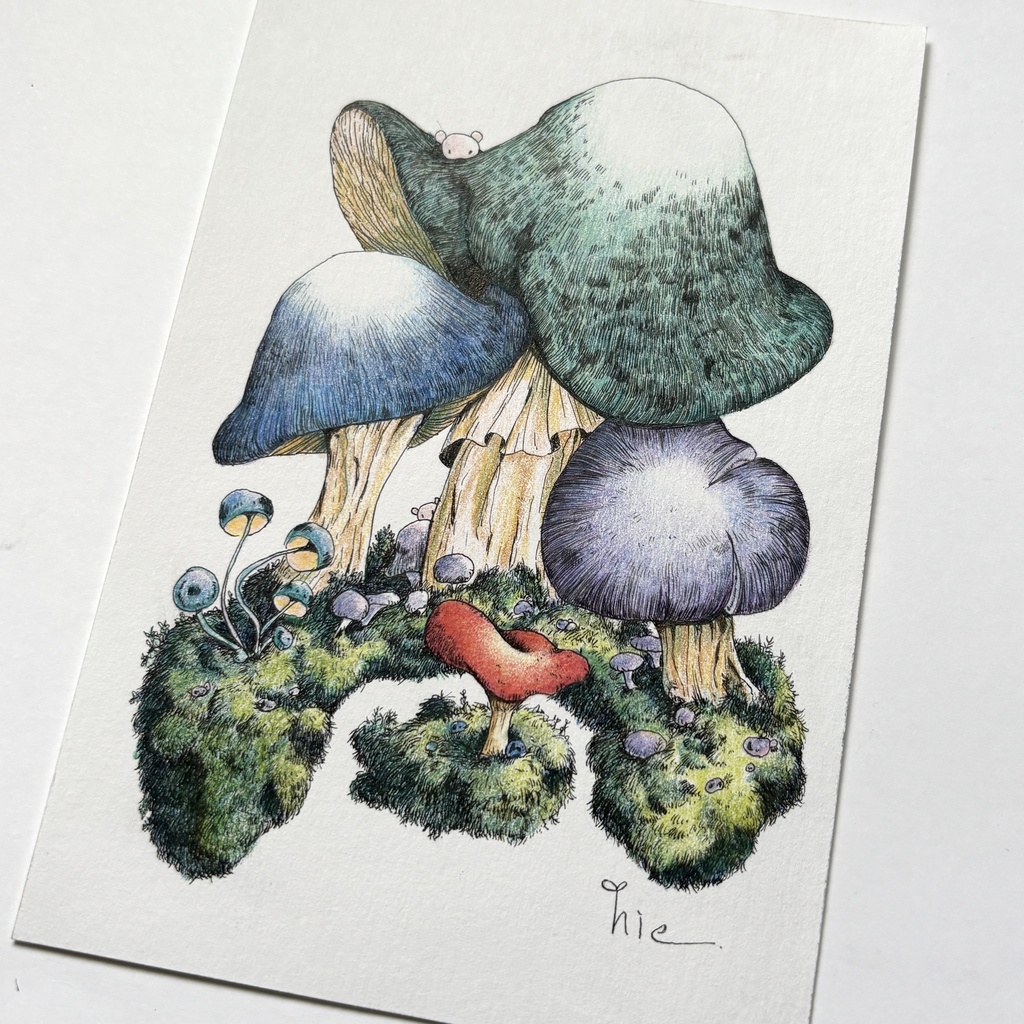 【額装原画】苔の森【ハガキサイズ】