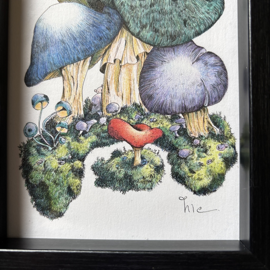 【額装原画】苔の森【ハガキサイズ】