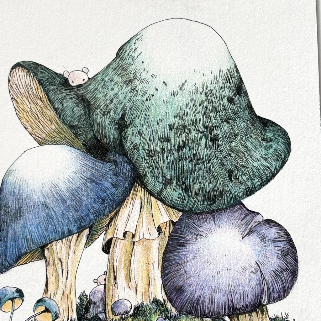 【額装原画】苔の森【ハガキサイズ】