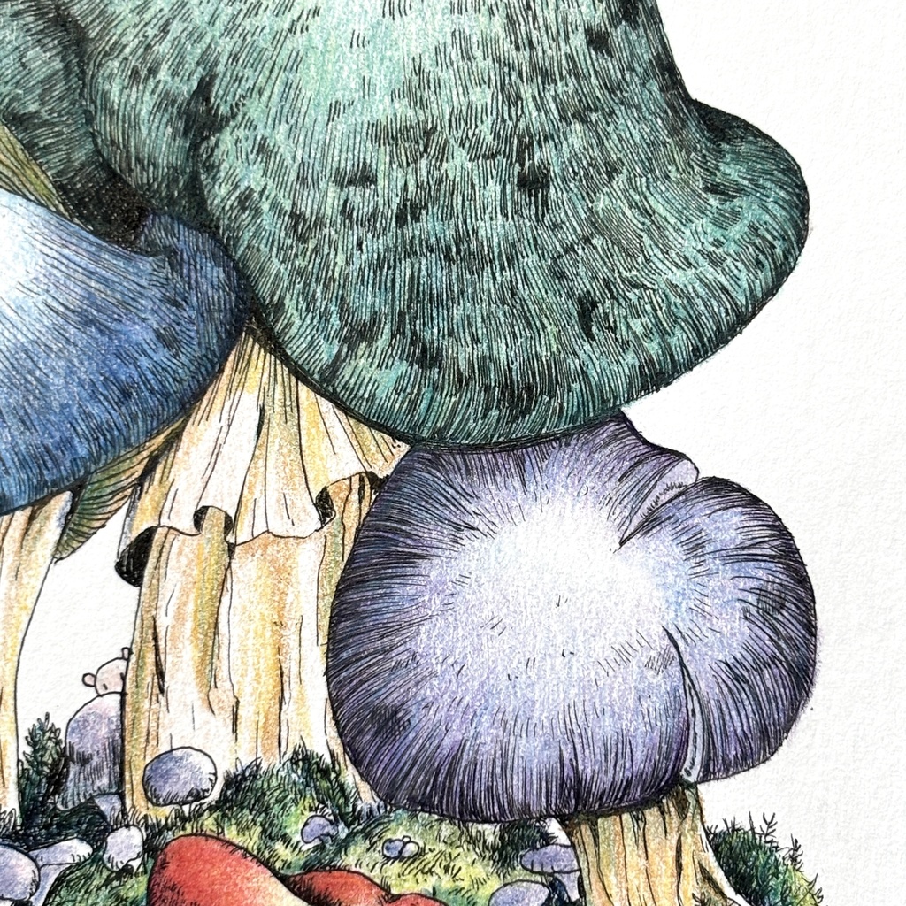 【額装原画】苔の森【ハガキサイズ】