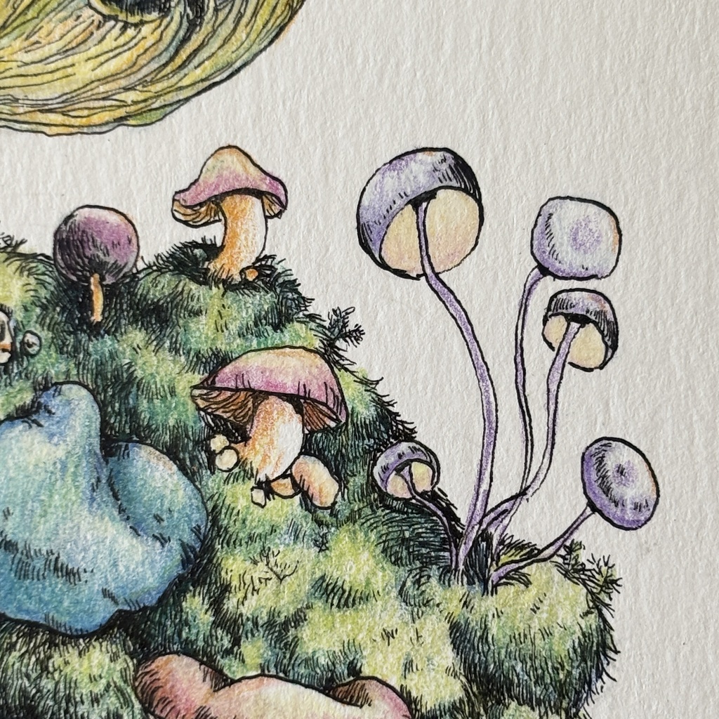 【額装原画】苔の森【ハガキサイズ】