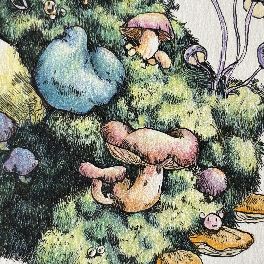 【額装原画】苔の森【ハガキサイズ】