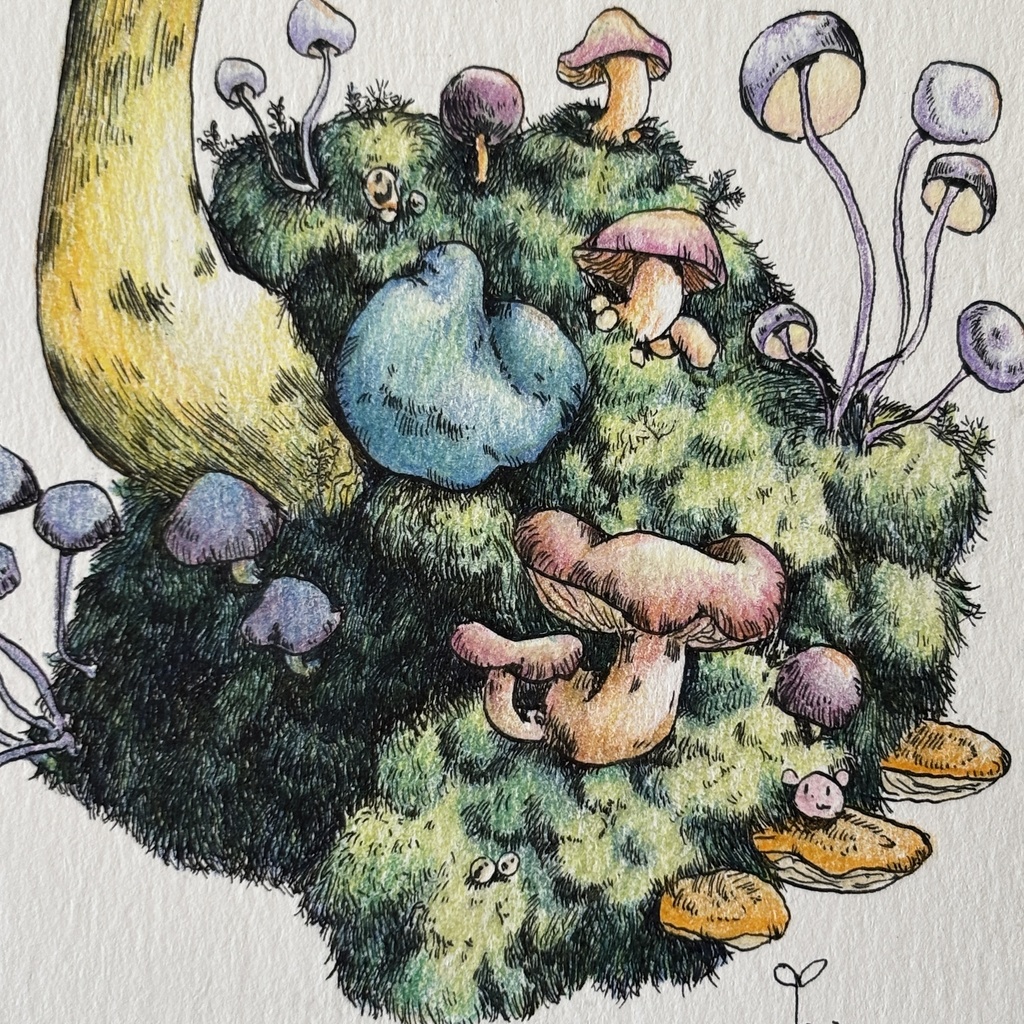 【額装原画】苔の森【ハガキサイズ】