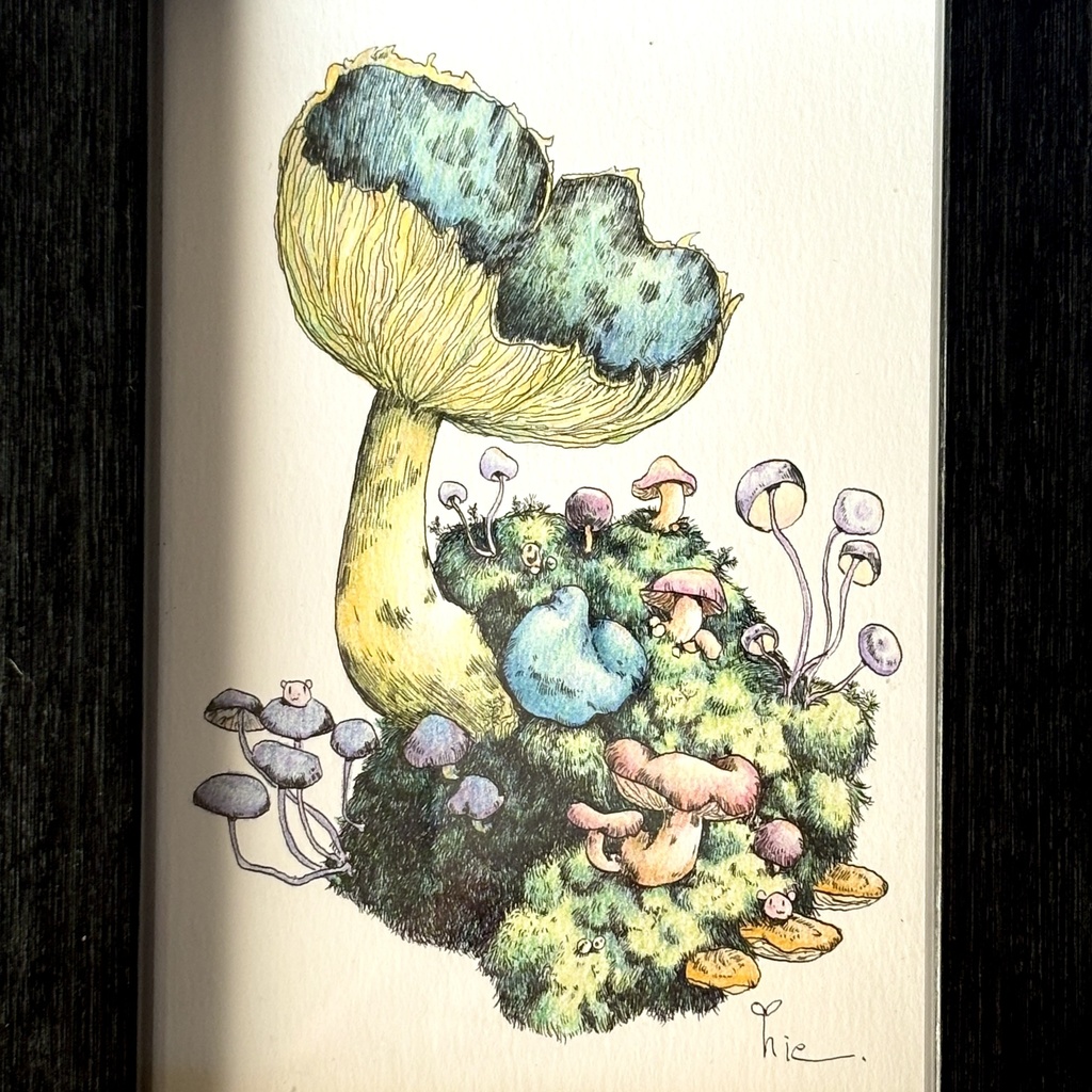 【額装原画】苔の森【ハガキサイズ】
