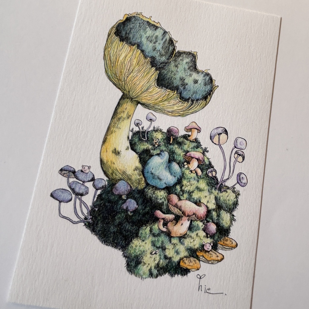 【額装原画】苔の森【ハガキサイズ】