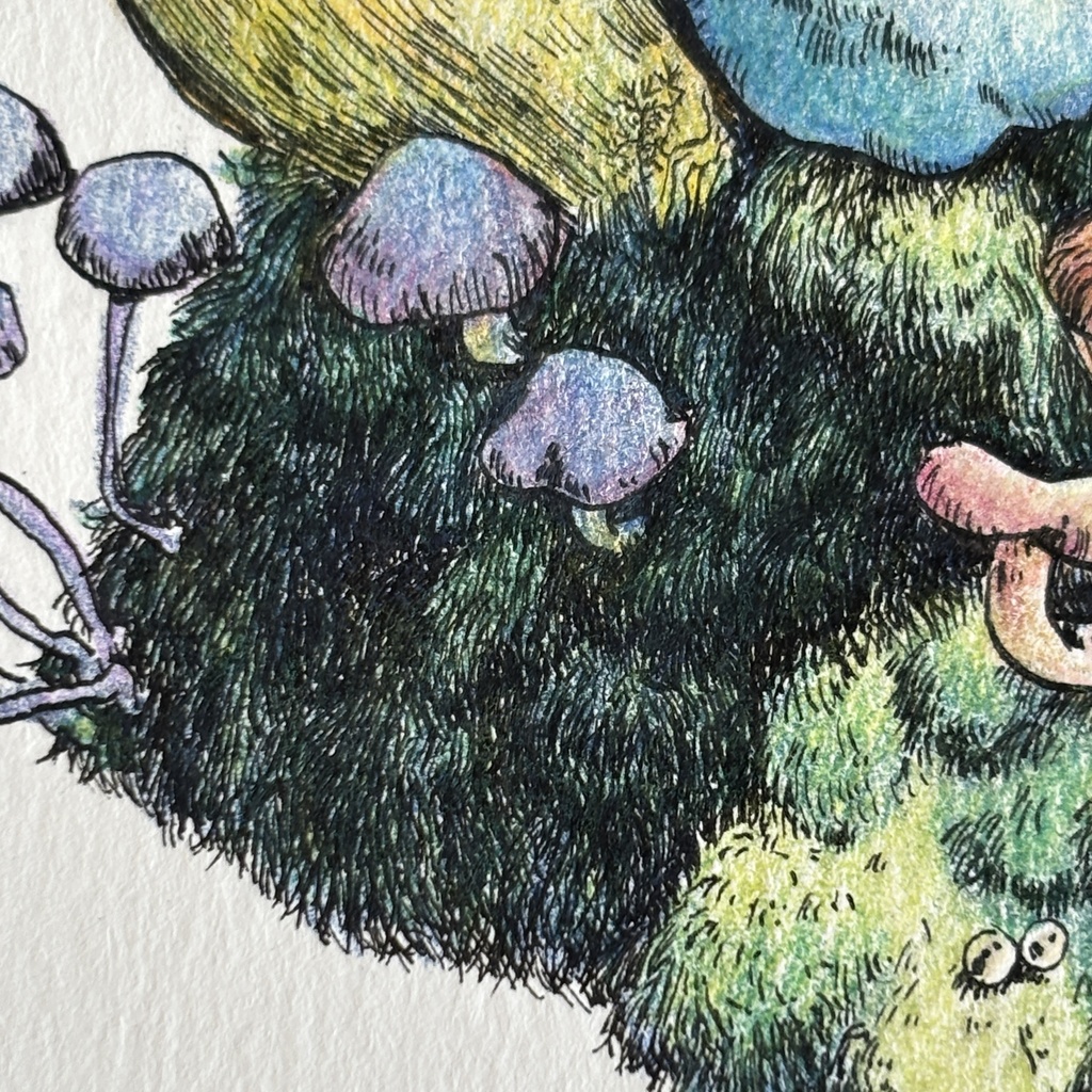 【額装原画】苔の森【ハガキサイズ】