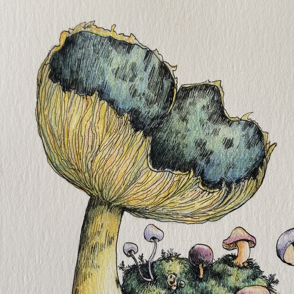 【額装原画】苔の森【ハガキサイズ】