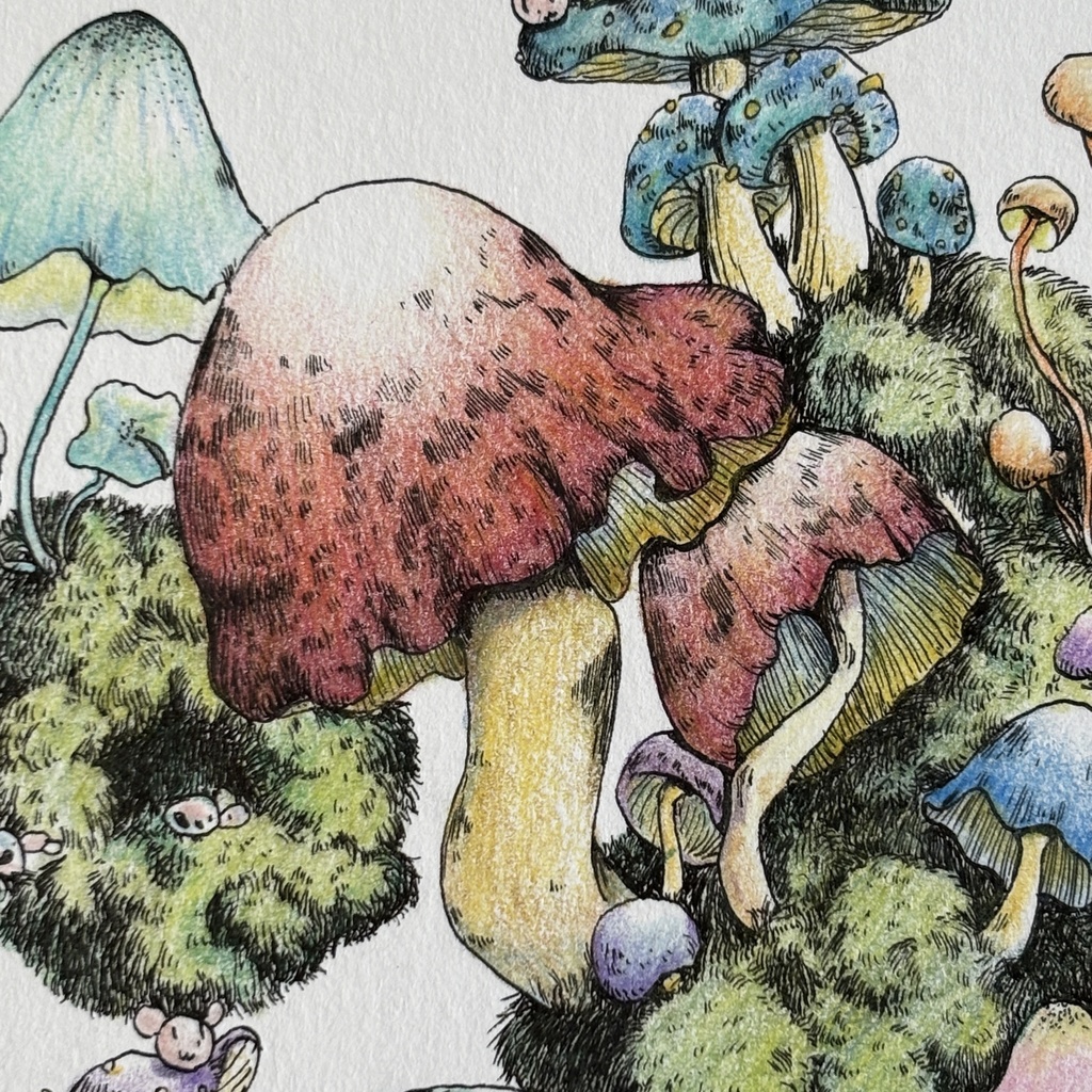 【額装原画】苔の森【ハガキサイズ】