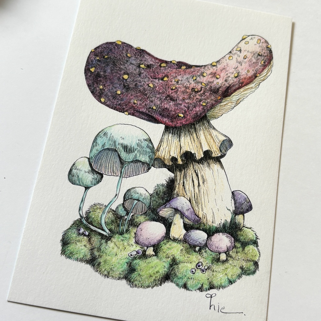 【額装原画】苔の森シリーズNo.05【ハガキサイズ】