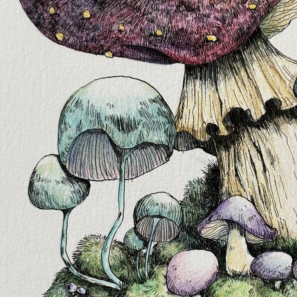 【額装原画】苔の森シリーズNo.05【ハガキサイズ】