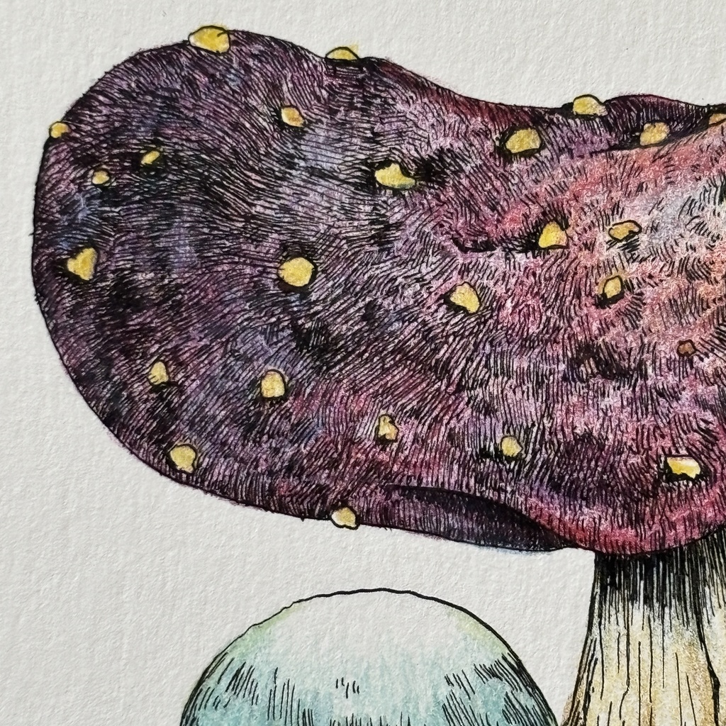 【額装原画】苔の森シリーズNo.05【ハガキサイズ】