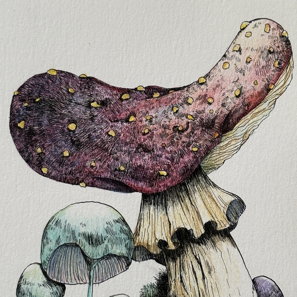 【額装原画】苔の森シリーズNo.05【ハガキサイズ】