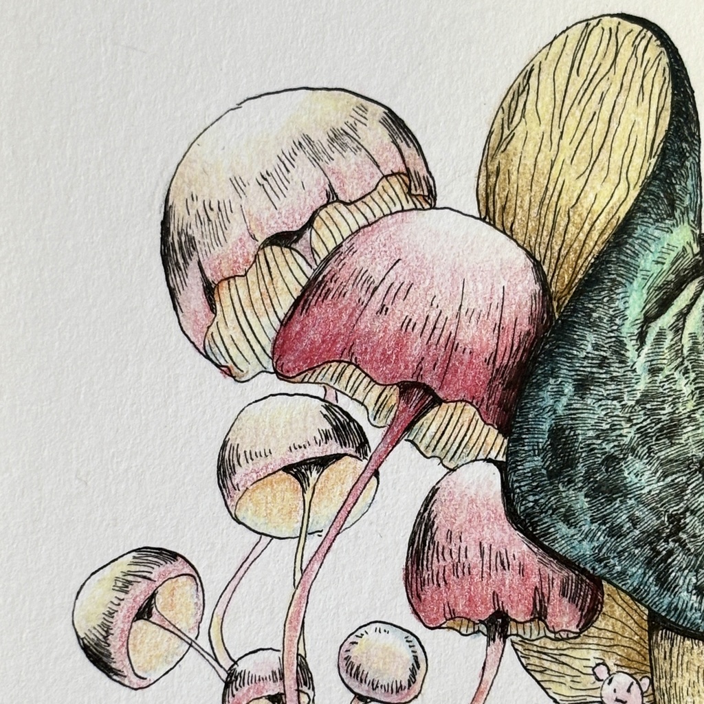 【額装原画】苔の森シリーズNo.06【ハガキサイズ】