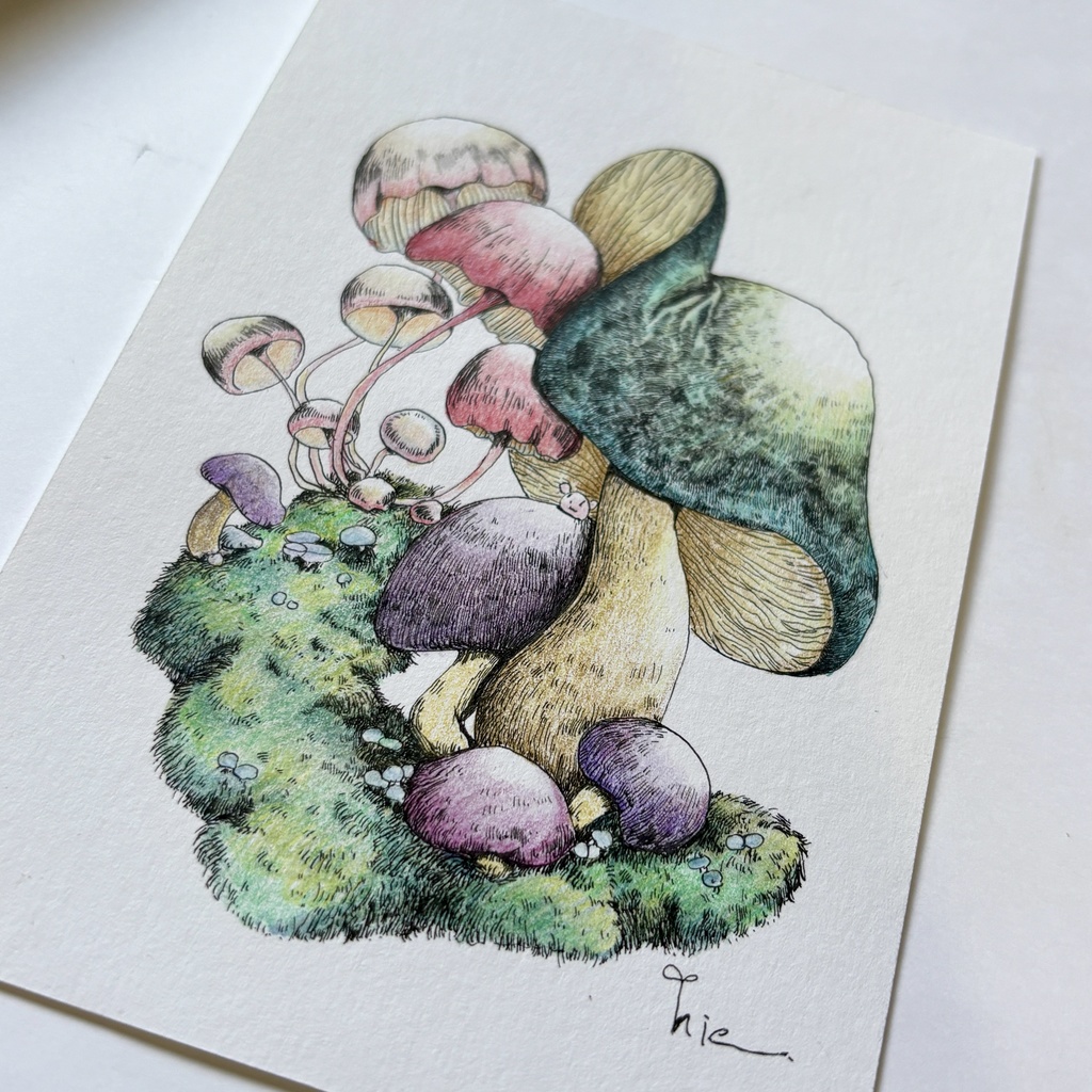 【額装原画】苔の森シリーズNo.06【ハガキサイズ】