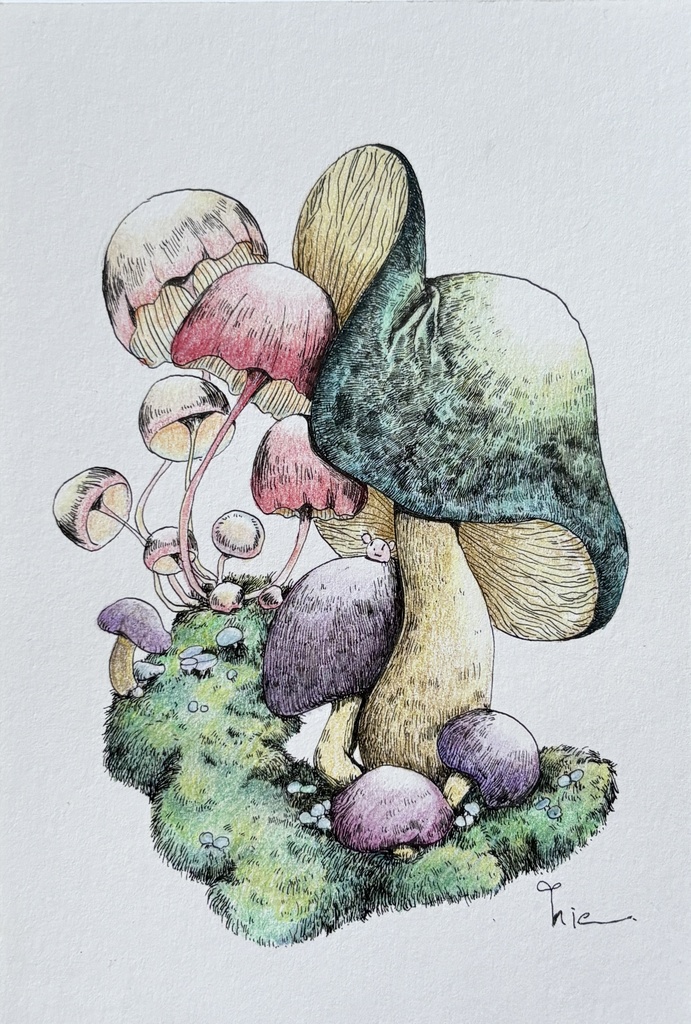 【額装原画】苔の森シリーズNo.06【ハガキサイズ】