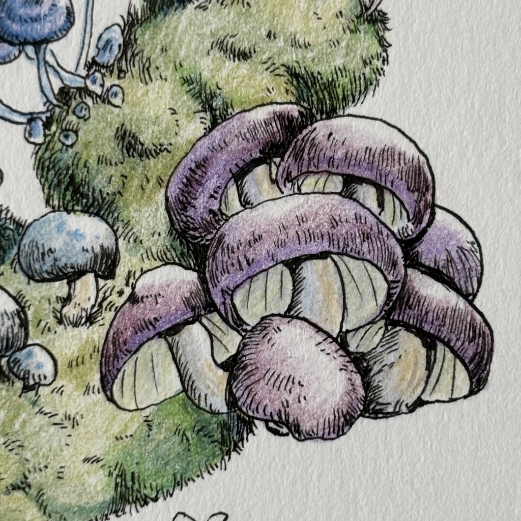 【額装原画】苔の森シリーズNo.07【ハガキサイズ】