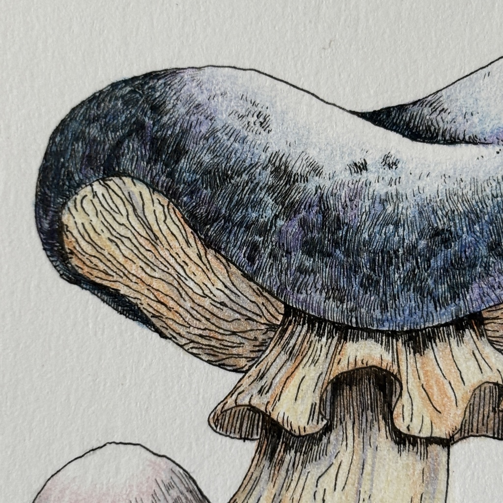 【額装原画】苔の森シリーズNo.07【ハガキサイズ】